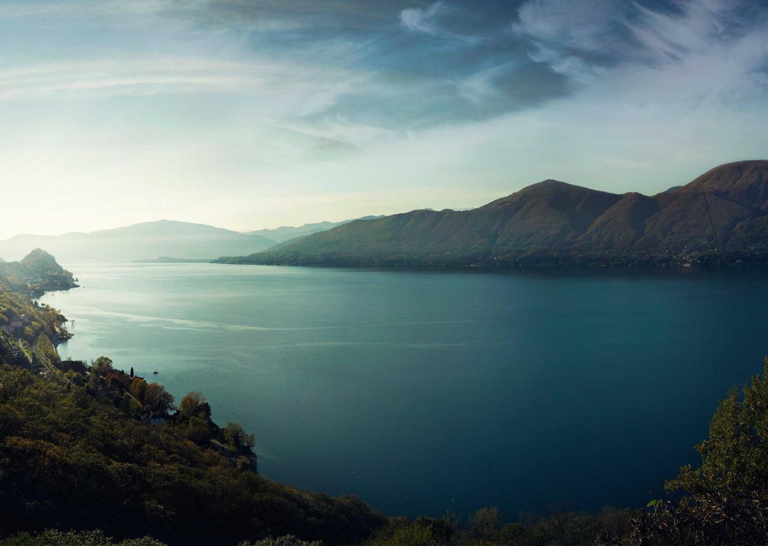 多利电棒购买平台