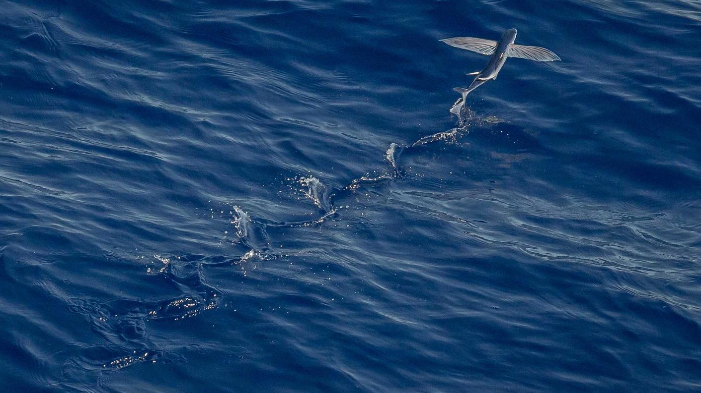 天狮注册海口公司代理