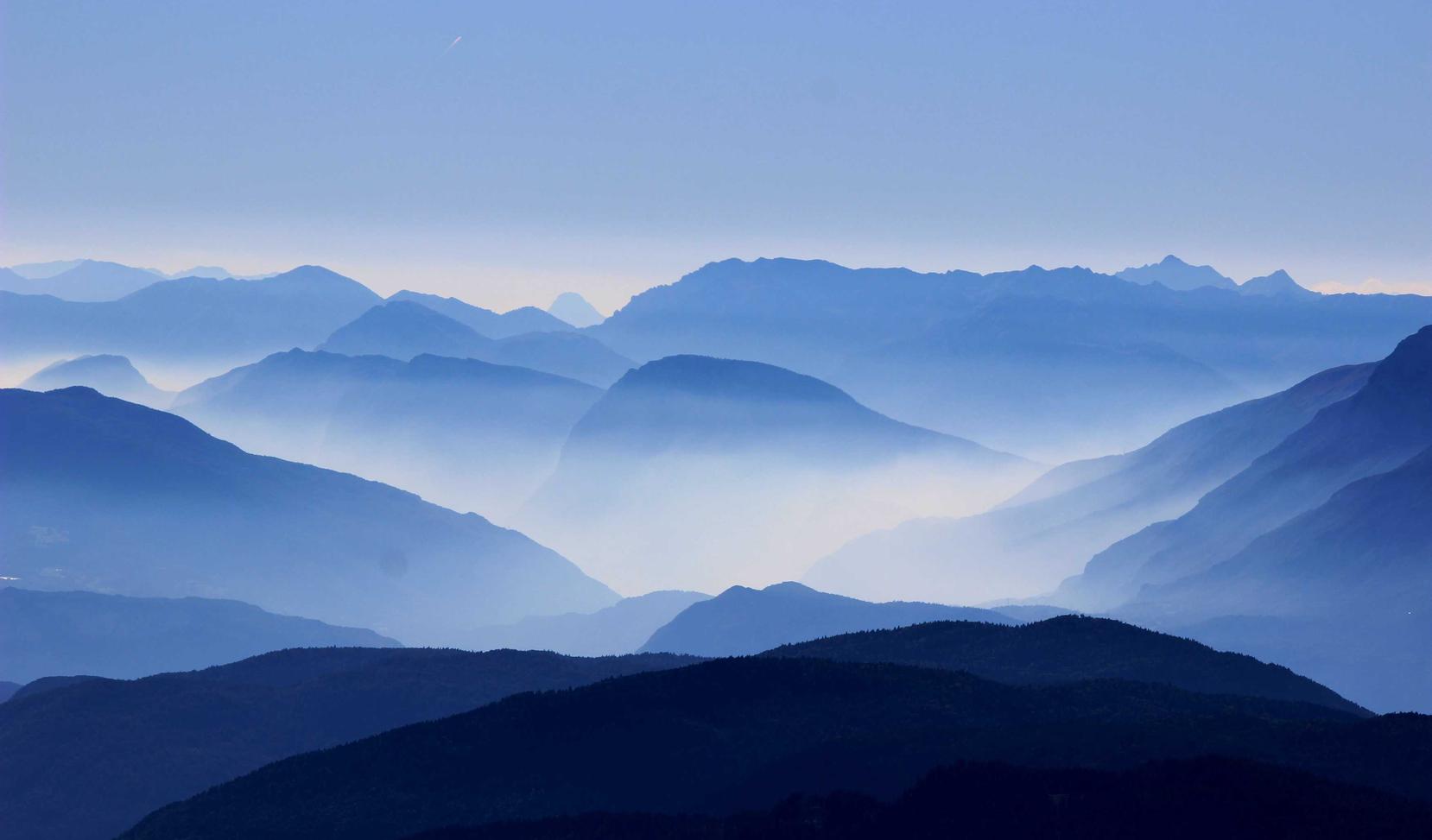 芝麻开门实名账号：韦伯词典详情下载教程 app