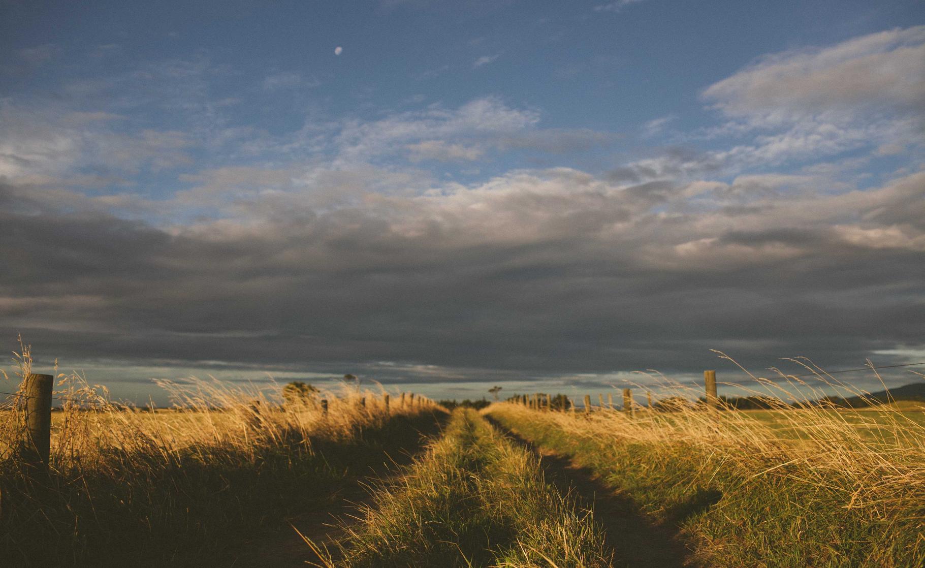 伊对实名账号：青海代理纳税申报平台