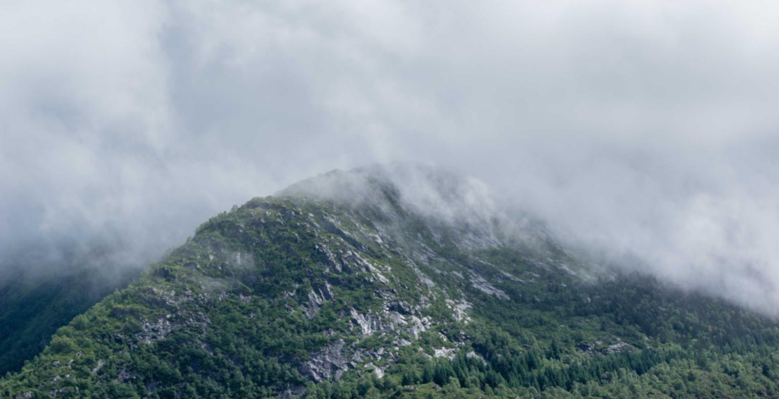 金皇朝4风水古书app详情下载教程